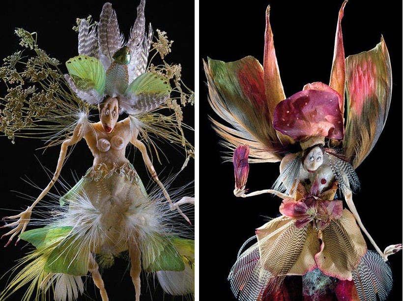 Petra-Werle-72dpi-HisttoiresNaturelles