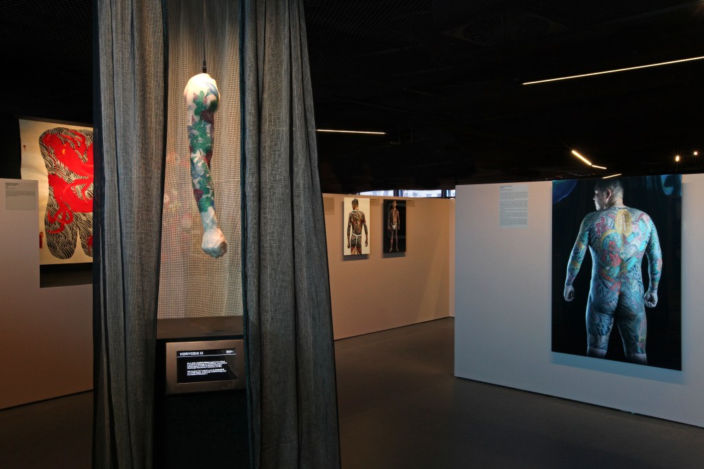 MQB. Exposition anthropologique :