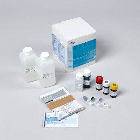 Haywood Gallery-Diana1290