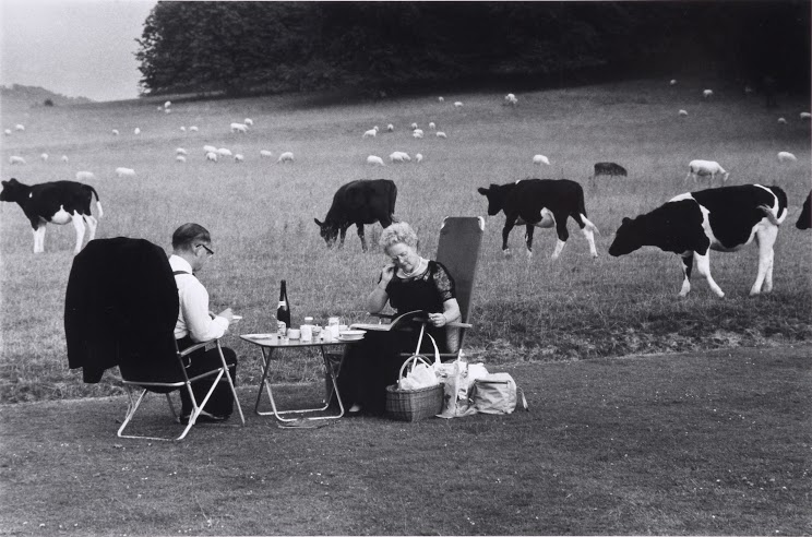 RAY-JONES, Tony ACP1105 MED