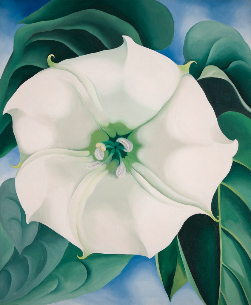 Jimson Weed/White Flower No. 1